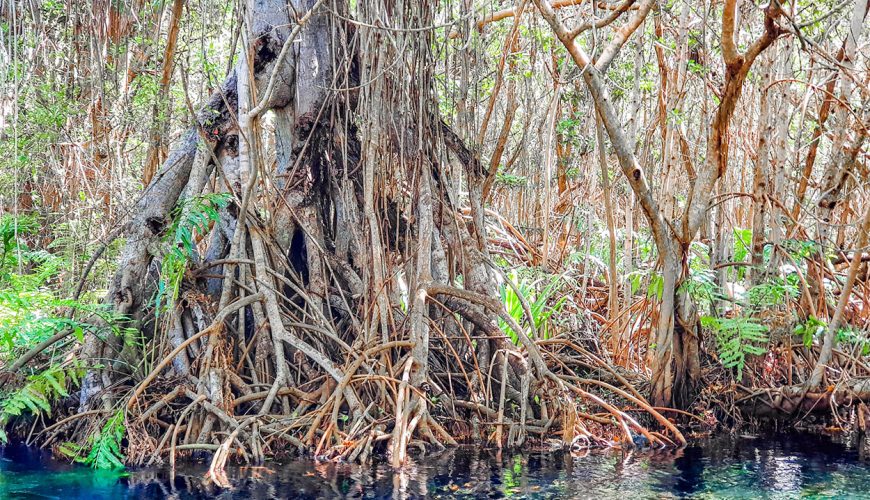 Yucatán 21, por un turismo responsable