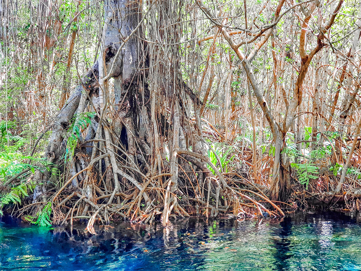 Yucatán 21, por un turismo responsable